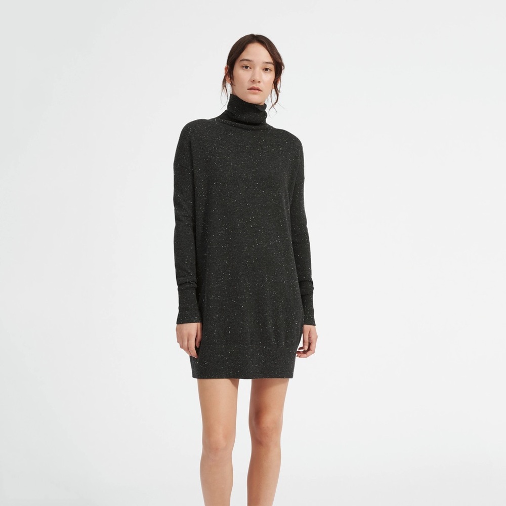 Everlane Cashmere Turtleneck Dress